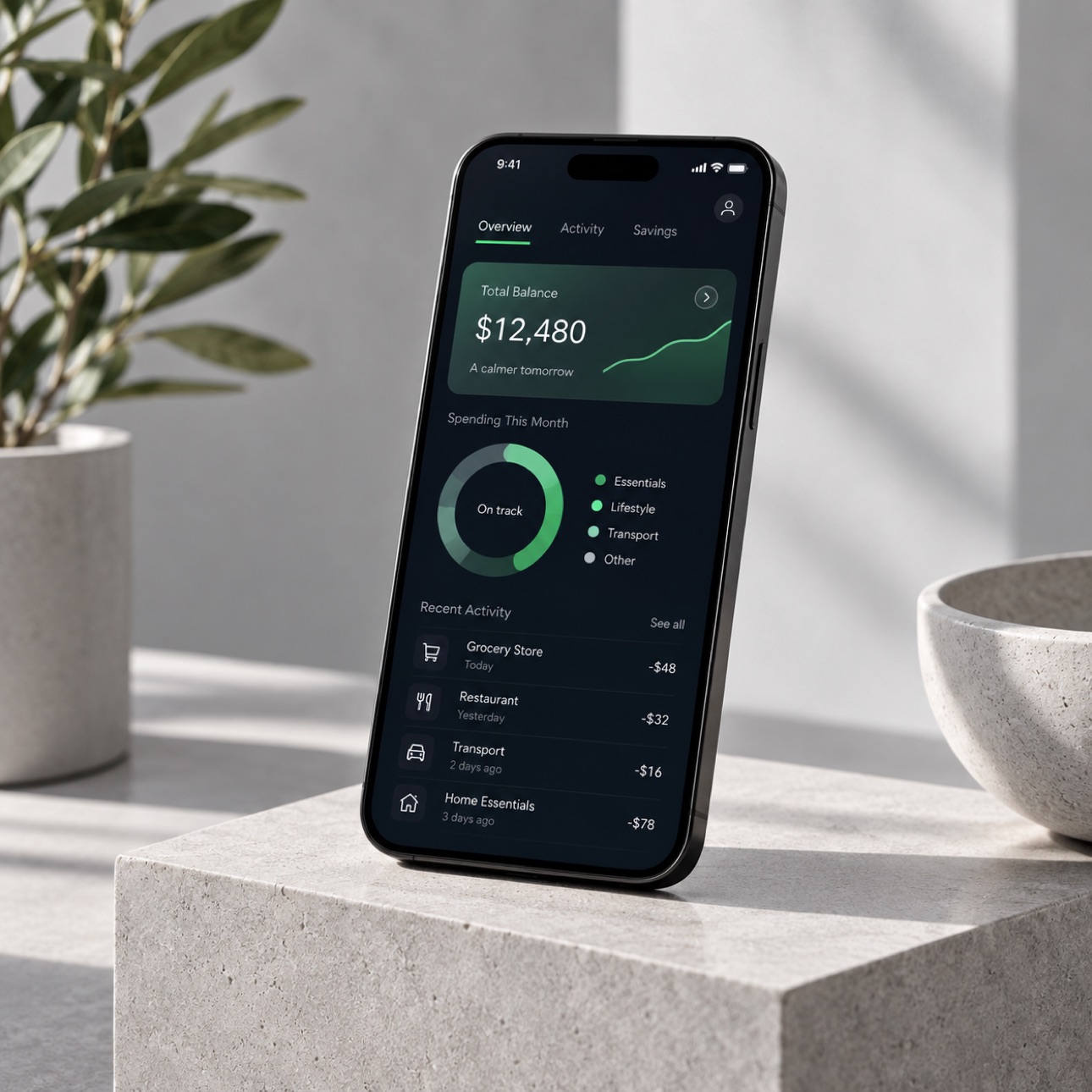 Phone displaying a personal finance interface.